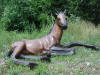 Foal Laying Down bronze